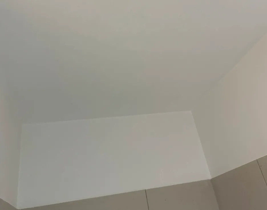 Wand nach der professionellen Schimmelbeseitigung