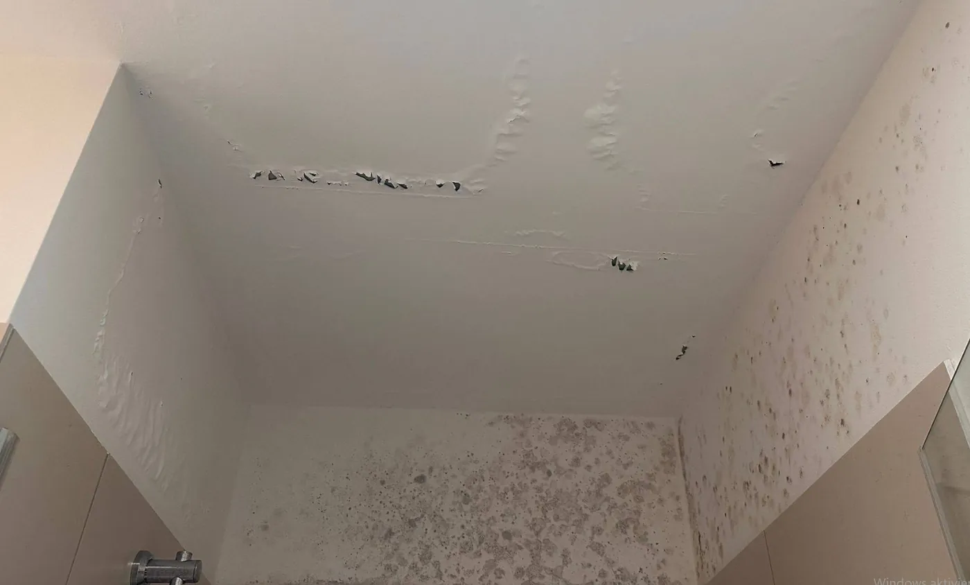 Wand mit Schimmelbefall vor der Sanierung